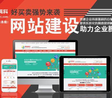 武汉营销型网站设计-武汉企业网站开发-武汉实力做网站公司!